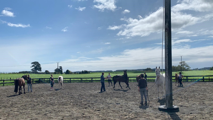 Yellow's team out working with horses
