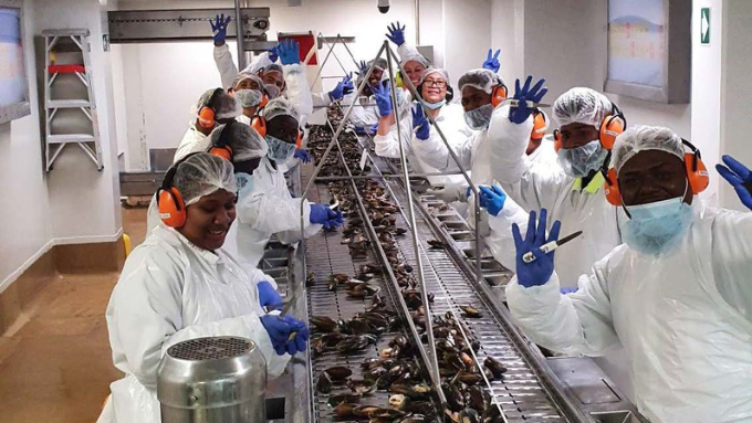 team of workings wearing protective overalls, masks and ear muffs smiling and waving at the camera while doing work with seafood mussels team of workings wearing protective overalls, masks and ear muffs smiling and waving at the camera while doing work with seafood mussels