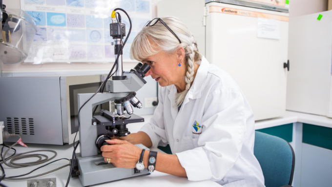 scientist looking through a microscope looking at something scientist looking through a microscope looking at something